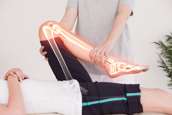 vfh-leg